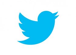 visita nuestro canal de twitter