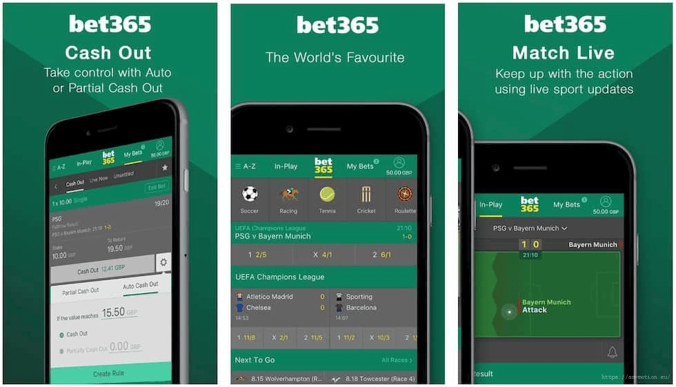 Bet365 casino